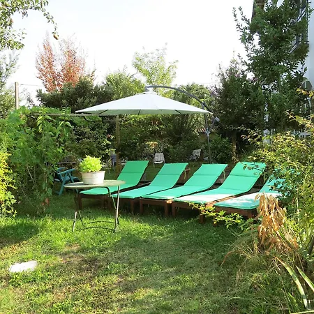 Carroccio Giallo By Interhome Lejlighed